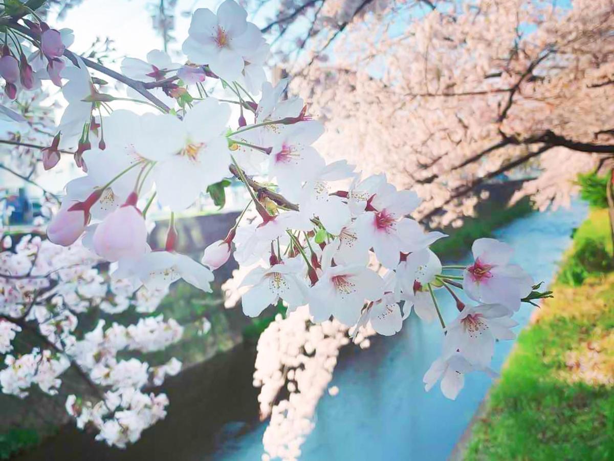 湯浅長 Shimo-saga Exterior foto